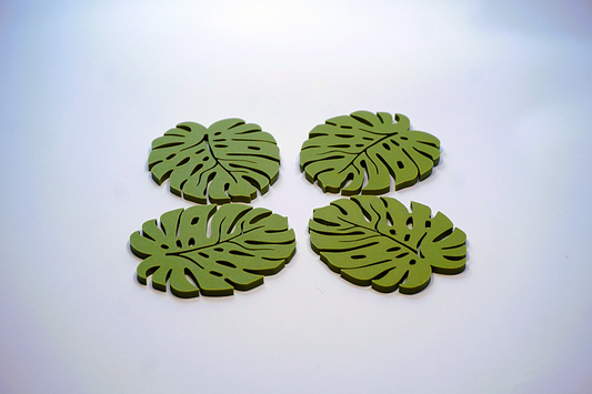 Monstera Coaster Leaf